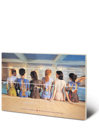SW10345P PINK FLOYD