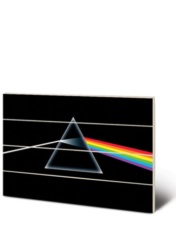 SW10346P PINK FLOYD
